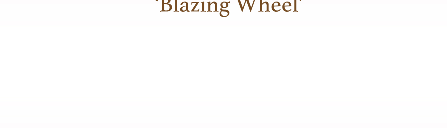 The Means for Accomplishment called ‘Blazing Wheel’